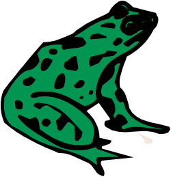 Green Frog on Black Background Clipart - Eye-Catching Illustration