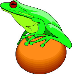 Frog on Orange Background - Vibrant Clipart for Creative Projects