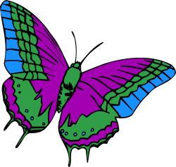 Colorful Butterfly on Black Background Clipart