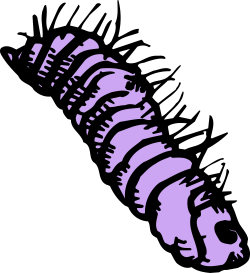 Caterpillar Silhouette Clipart in Purple and Black