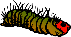 Vibrant Colorful Caterpillar Clipart for Your Projects