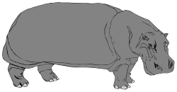 Animals,Animwild,HIPPO001 clipart