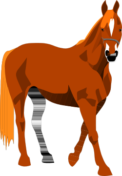 Horse Standing on Black Background - High-Quality Clipart