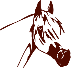 Horse Head Clipart: Elegant Long-Nosed Equine Illustration