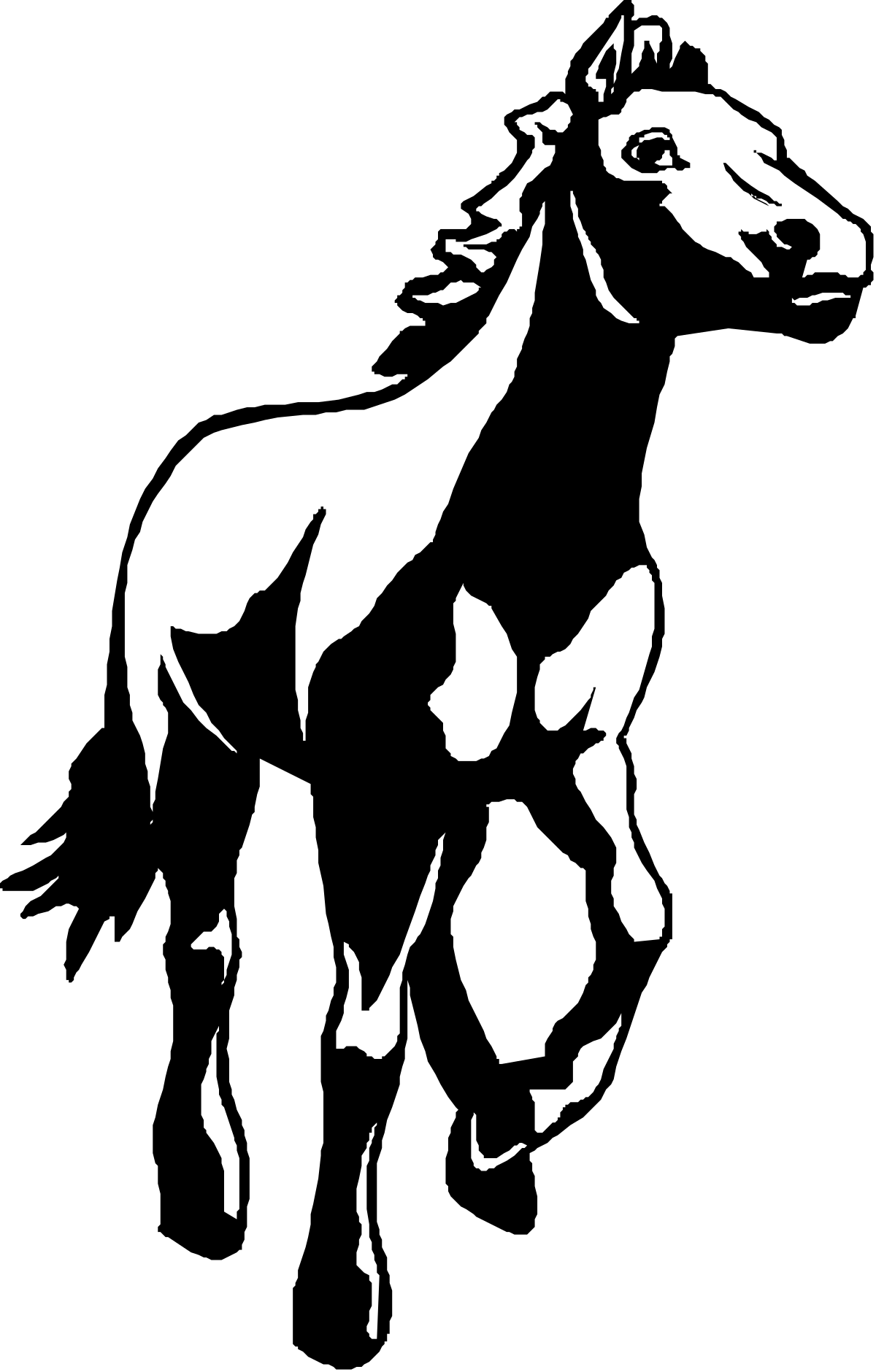 a horse silhouetted on a black background clip art png transparent Horse Silhouette on Black Background Clipart - Elegant Equine Design