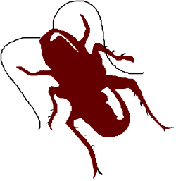Bee Silhouette on Black Background - Elegant Clipart Design