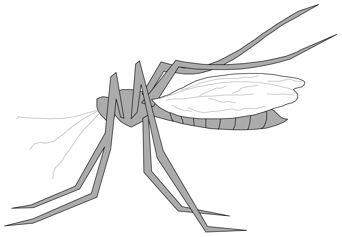Mosquito Clipart: High-Quality SVG Illustrations for Various Uses