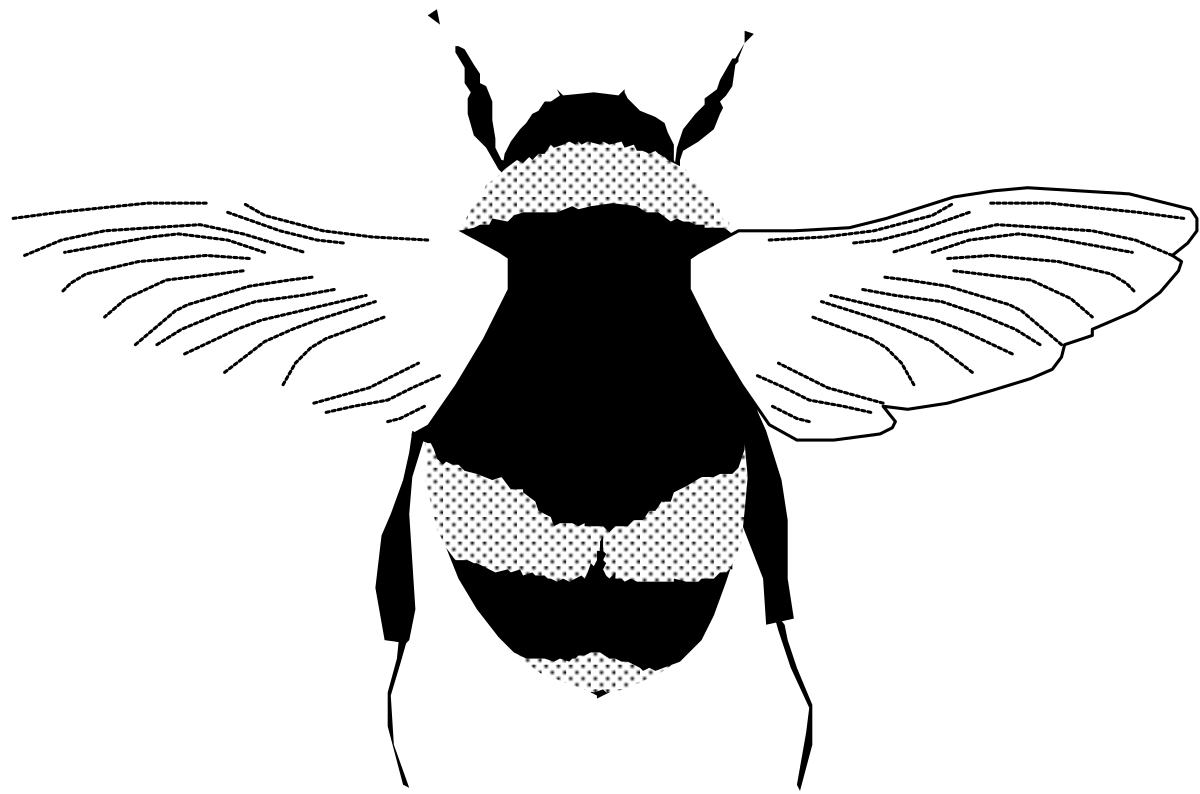 White Silhouette Face with Wings Clipart for Unique Designs
