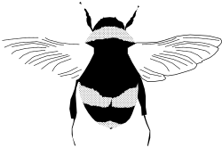 White Silhouette Face with Wings Clipart for Unique Designs