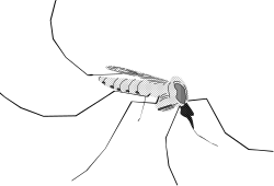 Hand Holding Knife in Dark Scene  Striking Clipart for Dramatic Designs