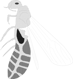 Silhouette of a Woman in a Hat with Polka Dot Pattern - Unique Clipart