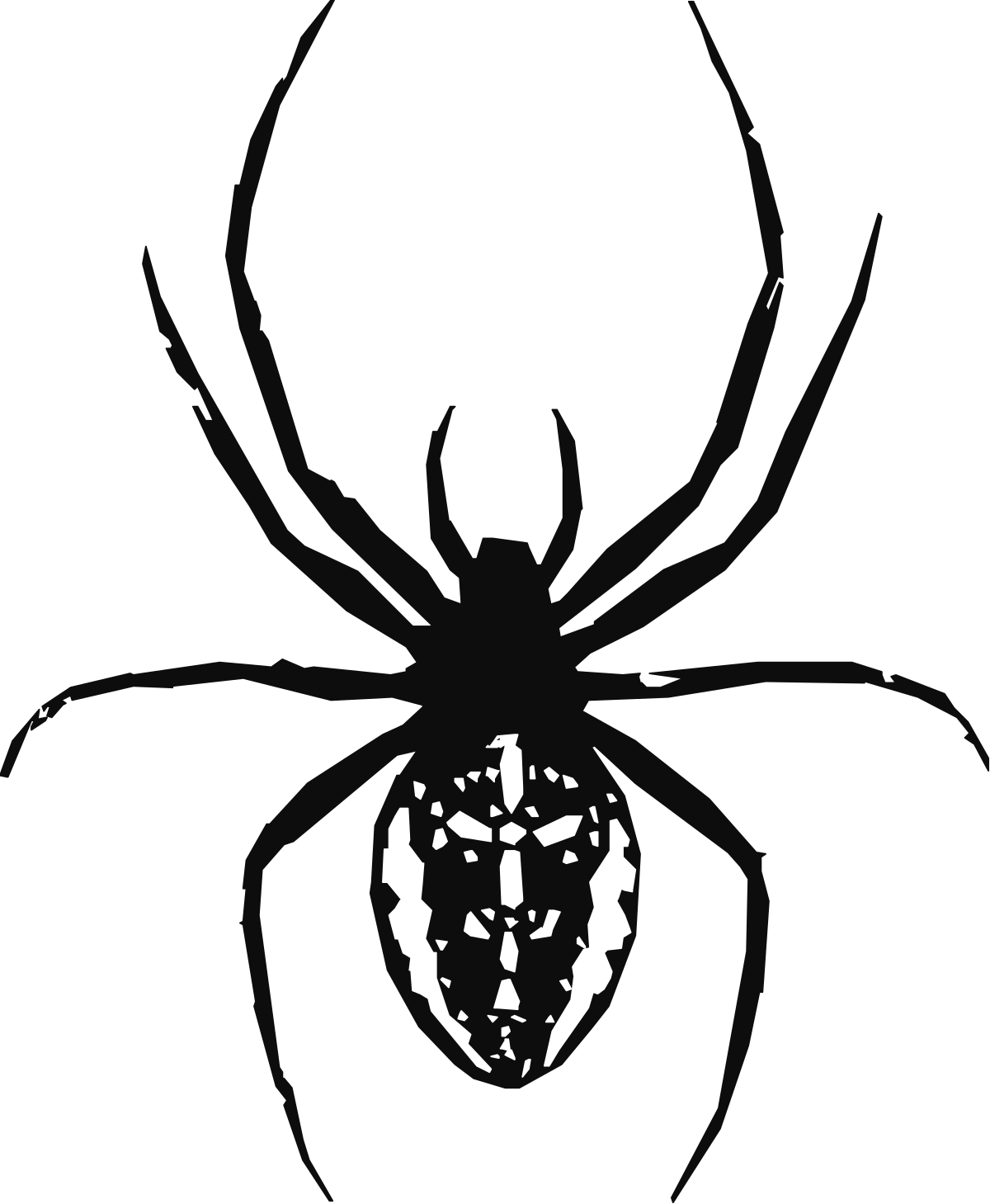 Black and White Spider Clipart on Dark Background