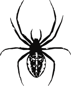 Black and White Spider Clipart on Dark Background