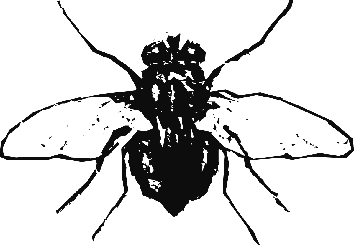 a black and white bee silhouetted against a black background clip art png transparent Black and White Bee Silhouette Against Black Background