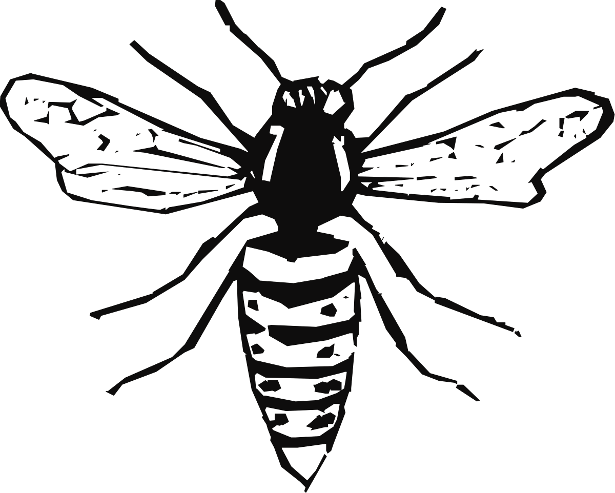 Bee Clipart  Black and White Illustration of a Bee