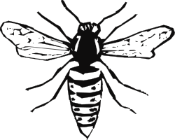 Bee Clipart  Black and White Illustration of a Bee