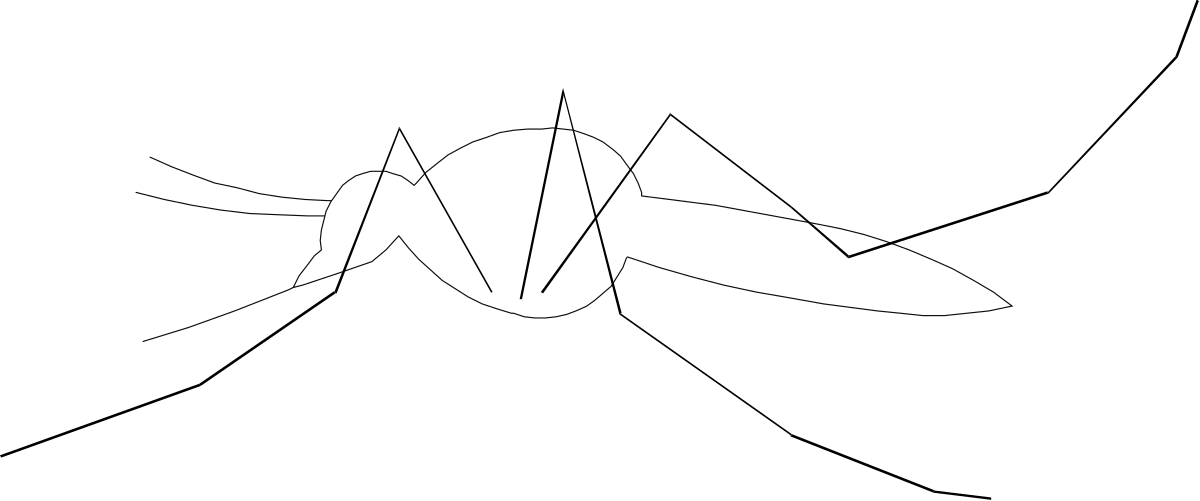 Black and White Bird Clipart - Elegant Avian Design
