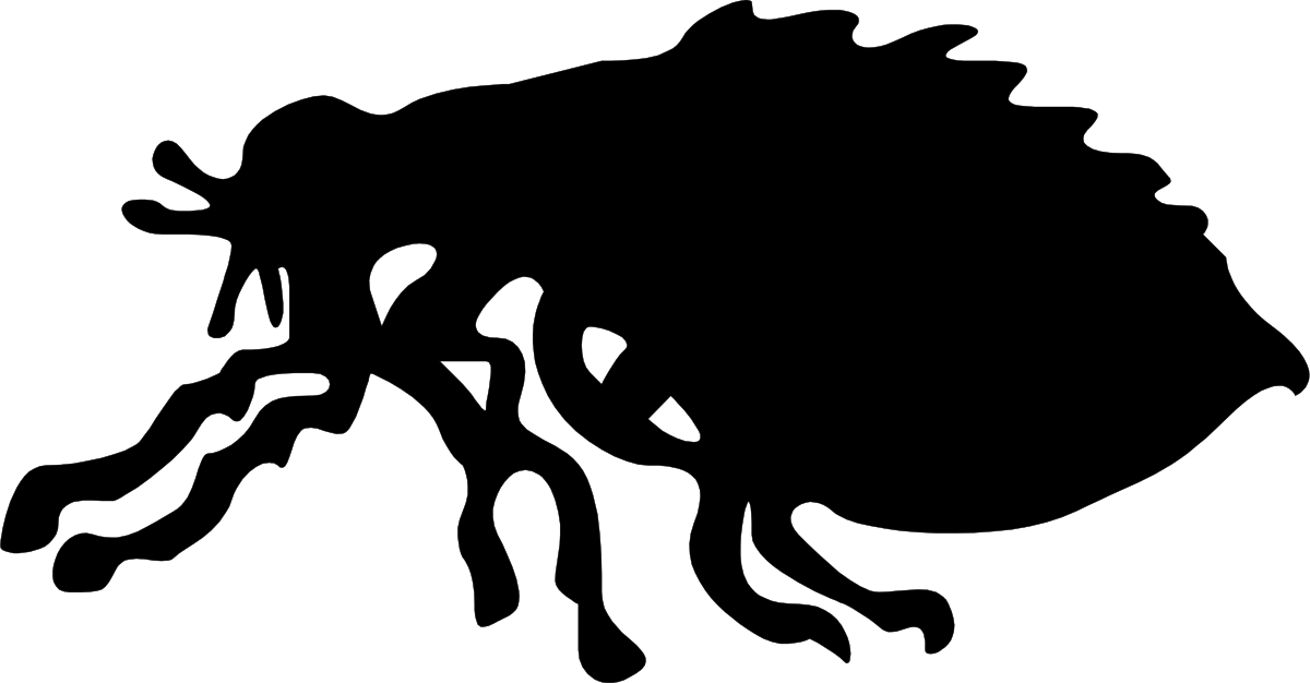 Black and White Cat Clipart: Elegant Feline Illustrations