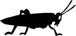 Black and White Silhouette of a Man - Minimalist Clipart