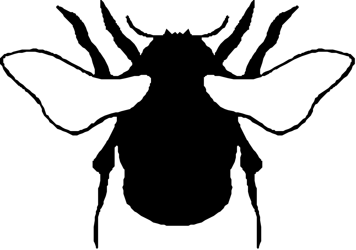 Two White Butterflies on Black Background - Elegant Clipart Illustrations