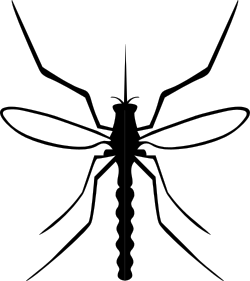 Alien Face Clipart with Eyes for Creative Projects