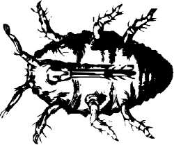 Bug Clipart: Stunning Black and White Insect Illustrations for Your Projects