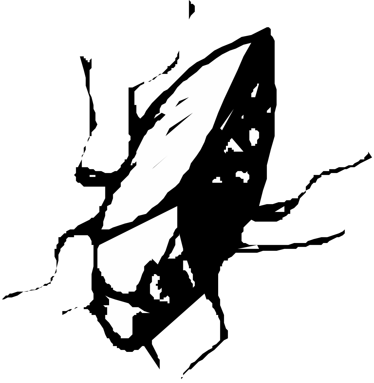 Black and White New Zealand Map Clipart for Creative Projects