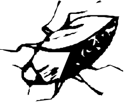 Black and White Map of the Philippines Clipart for Creative Projects