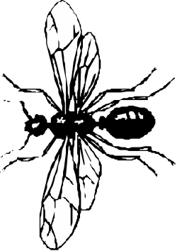 Broken Glass Clipart - Black and White Illustration for Creative Projects