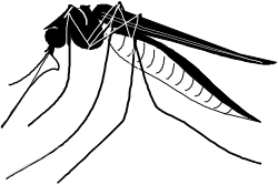Black and White Sword-Wielding Man Clipart for Unique Projects