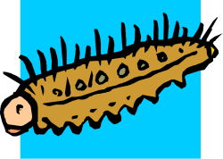 Cartoon Fish with Long Tail - Vibrant Clipart for Every Project