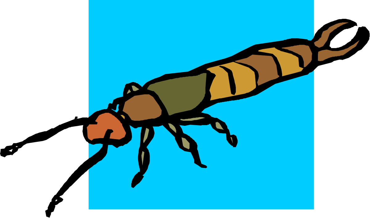 Bee Clipart: Long Body Insect Illustration for Creative Projects