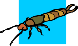 Bee Clipart: Long Body Insect Illustration for Creative Projects