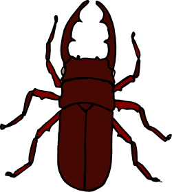 Red Beetle on Black Background Clipart