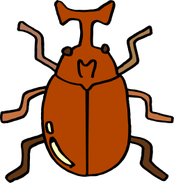 Brown Beetle Clipart on Black Background - Stunning Insect Design