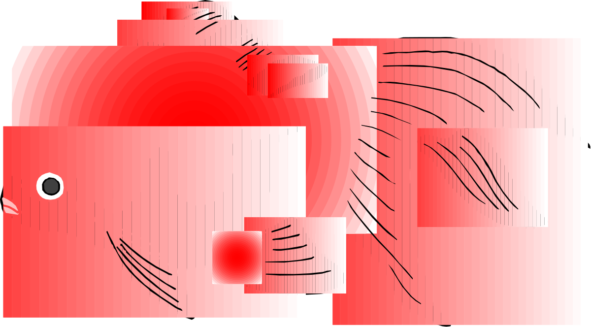 a red fish with a black eye clip art png transparent Red Fish with Black Eye - Vibrant Clipart for Your Projects