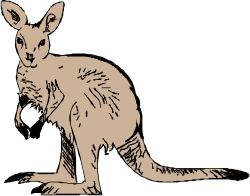 Kangaroo Sitting on Ground Clipart for Creative Projects