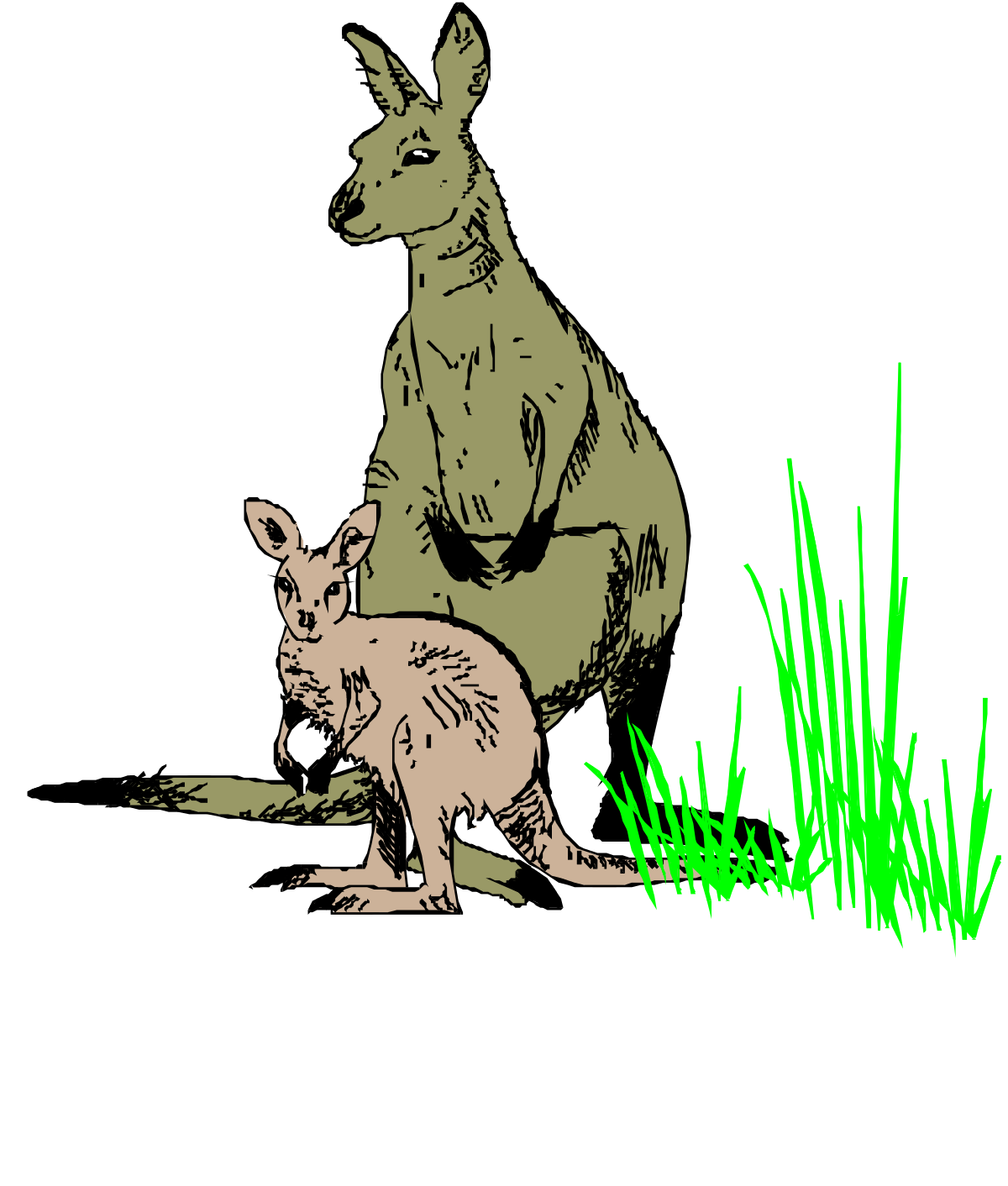 a kangaroo and a cat sitting in the grass clip art png transparent Kangaroo and Cat Sitting in the Grass - Whimsical Clipart