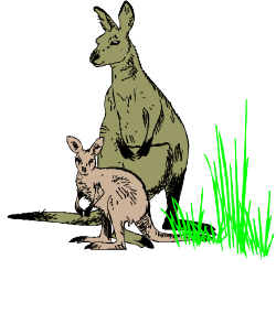 Kangaroo and Cat Sitting in the Grass - Whimsical Clipart