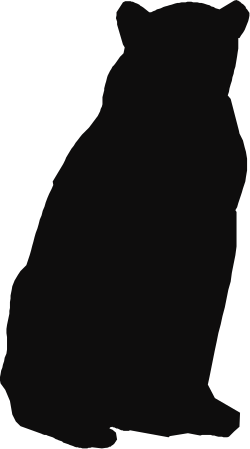 Black Cat Silhouette Against Dark Background - Perfect Clipart for Your Projects
