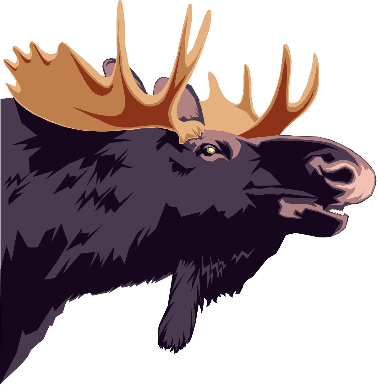 Moose Head Clipart: Detailed Antlers and Rustic Charm