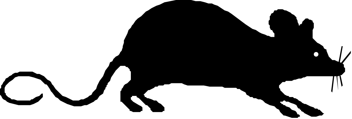 Black Background with Striking White Circle Clipart