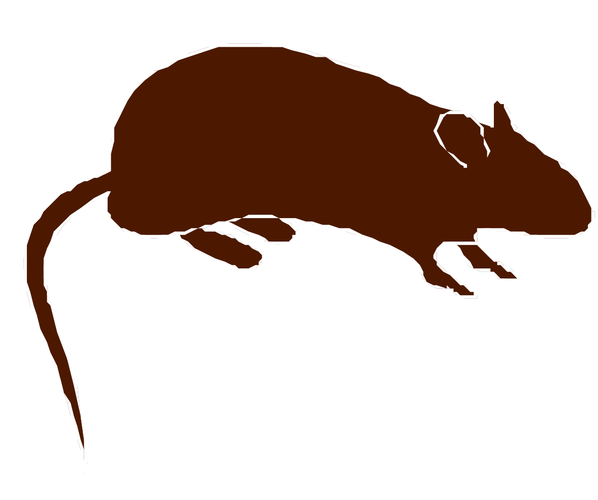 a brown rat on a black background clip art png transparent Brown Rat Clipart on Black Background - Realistic and Detailed