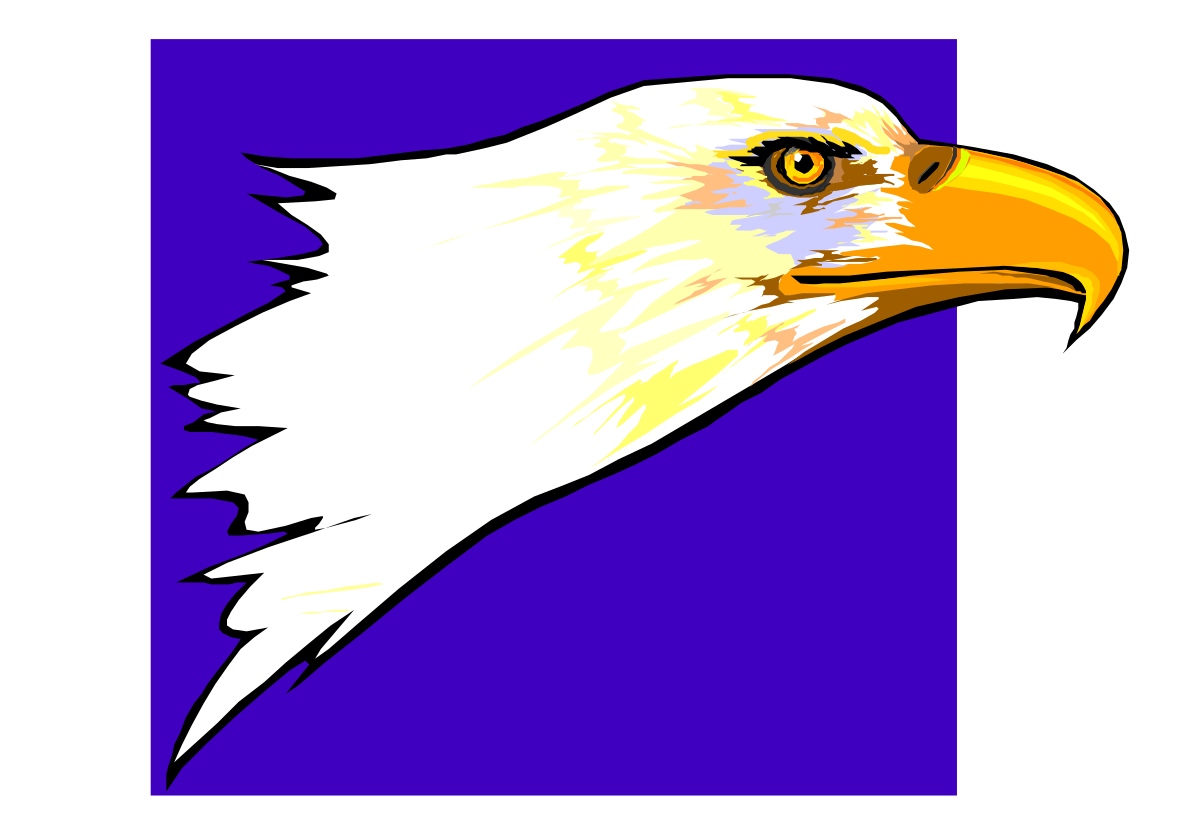 Bald Eagle Head Clipart  Stunning Wildlife Representation