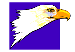 Bald Eagle Head Clipart  Stunning Wildlife Representation
