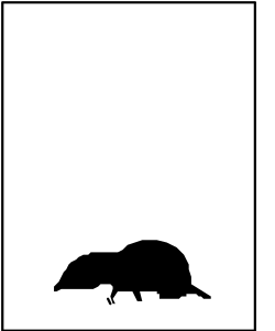 Badger Silhouette Clipart: Perfect for Nature Themes