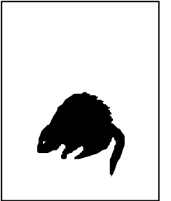 Black and White Silhouette of a Fish for Stunning Clipart Designs