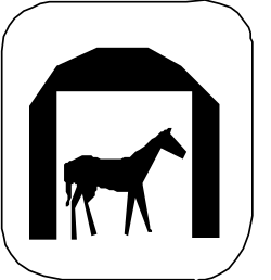 Horse Clipart in White Square: Elegant Equine Graphics