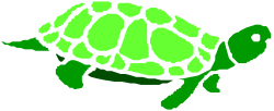 Green Turtle on Black Background Clipart for Creative Projects
