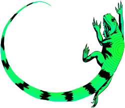 Lizard on Letter C Clipart - Playful Vector Illustration